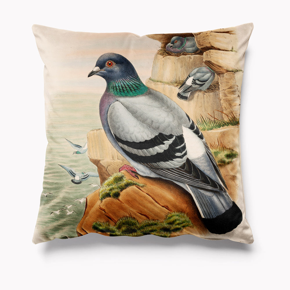 Pigeon Velvet Cushion - Kitsch Republic